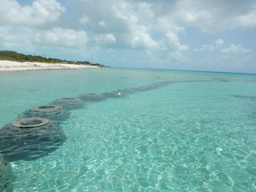 Ocean view of reefballs
